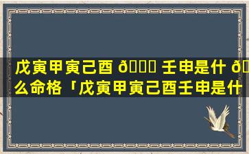 戊寅甲寅己酉 💐 壬申是什 🐝 么命格「戊寅甲寅己酉壬申是什么命格呢」